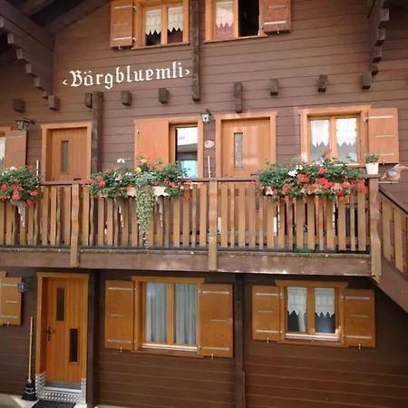Apartamento Baergblueemli 1- Og West Appartement-fewo- Dusche Oder Bad- Wc By Interhome